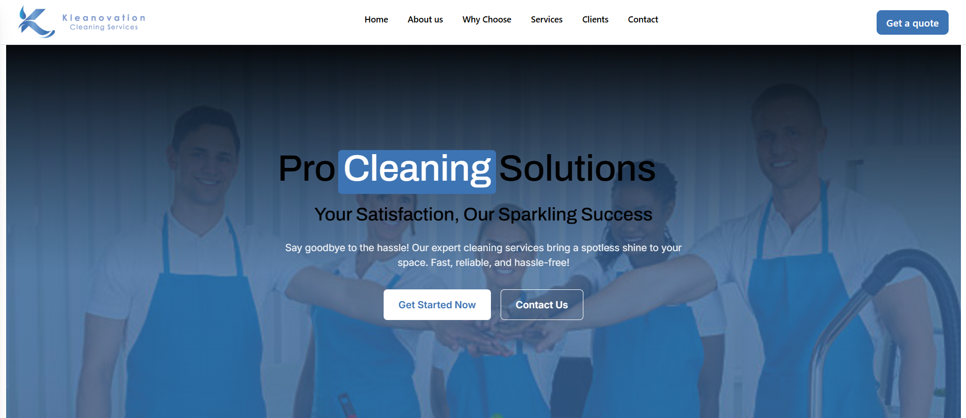 Pro Cleaning Solution 1