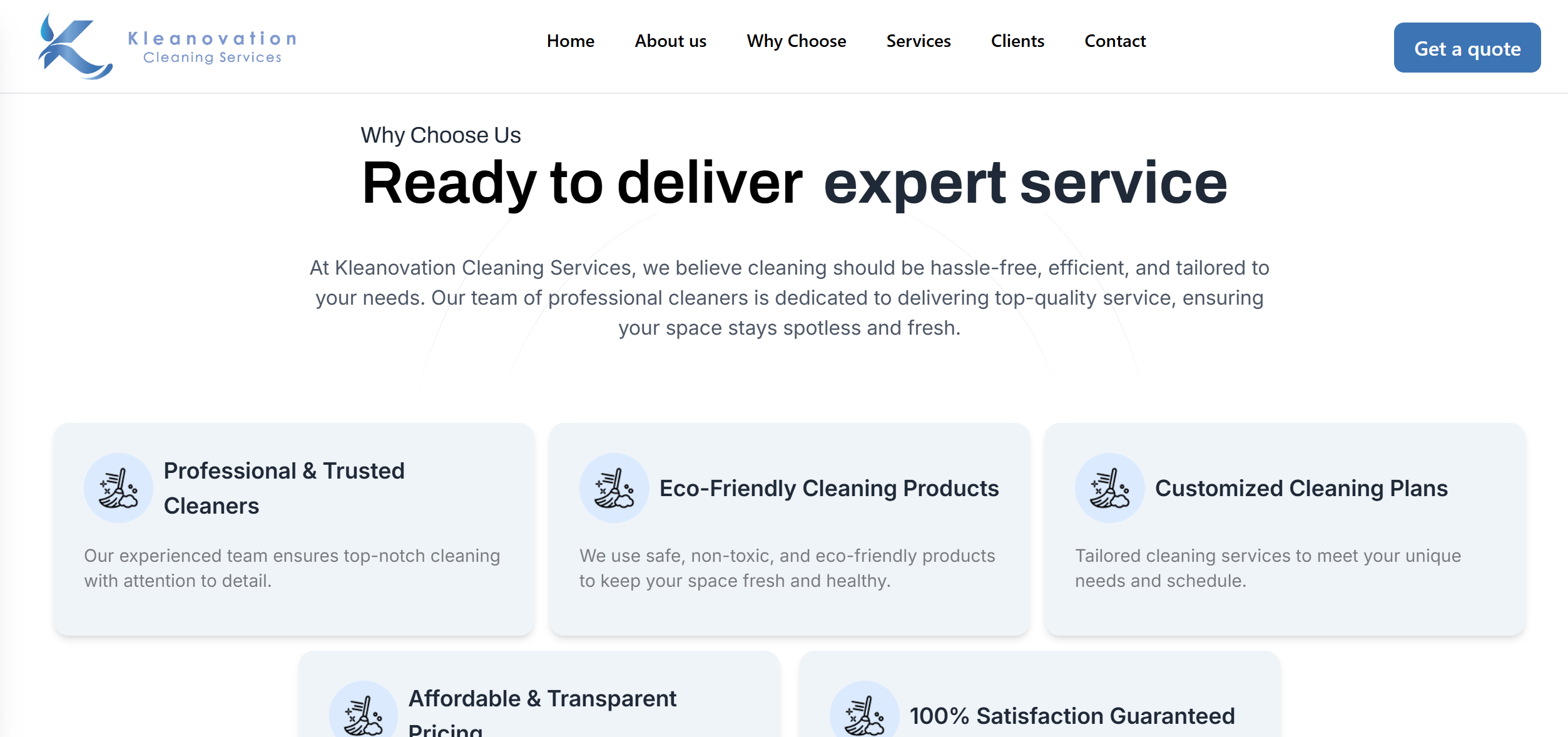 Pro Cleaning Solution 3